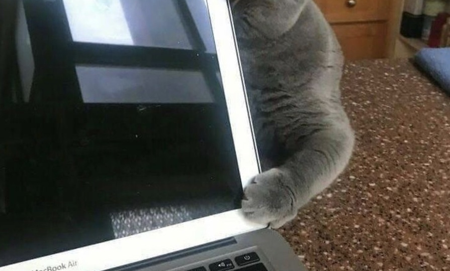 За секунду до: 19 фото доказательств того, что у судьбы специфическое чувство юмора