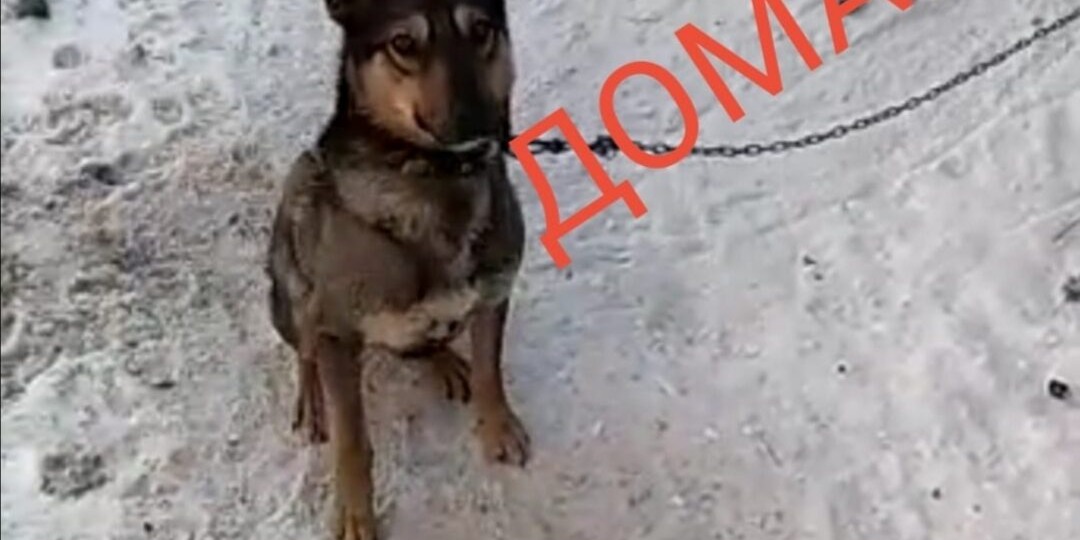 Звоночек затих навсегда