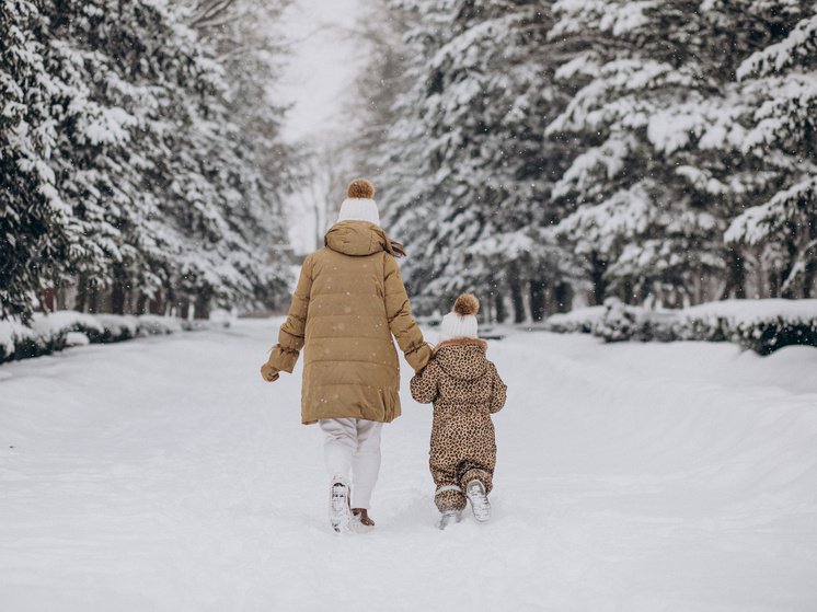     Фото: senivpetro/ru.freepik.com