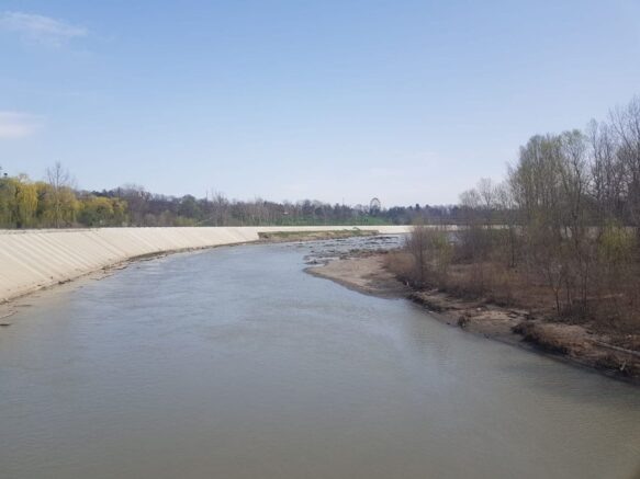    Фото: Элина Болдырева