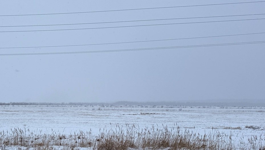   Место строительства электродепо "Коломяжская" Автор фото: t.me/podzemnik_spb