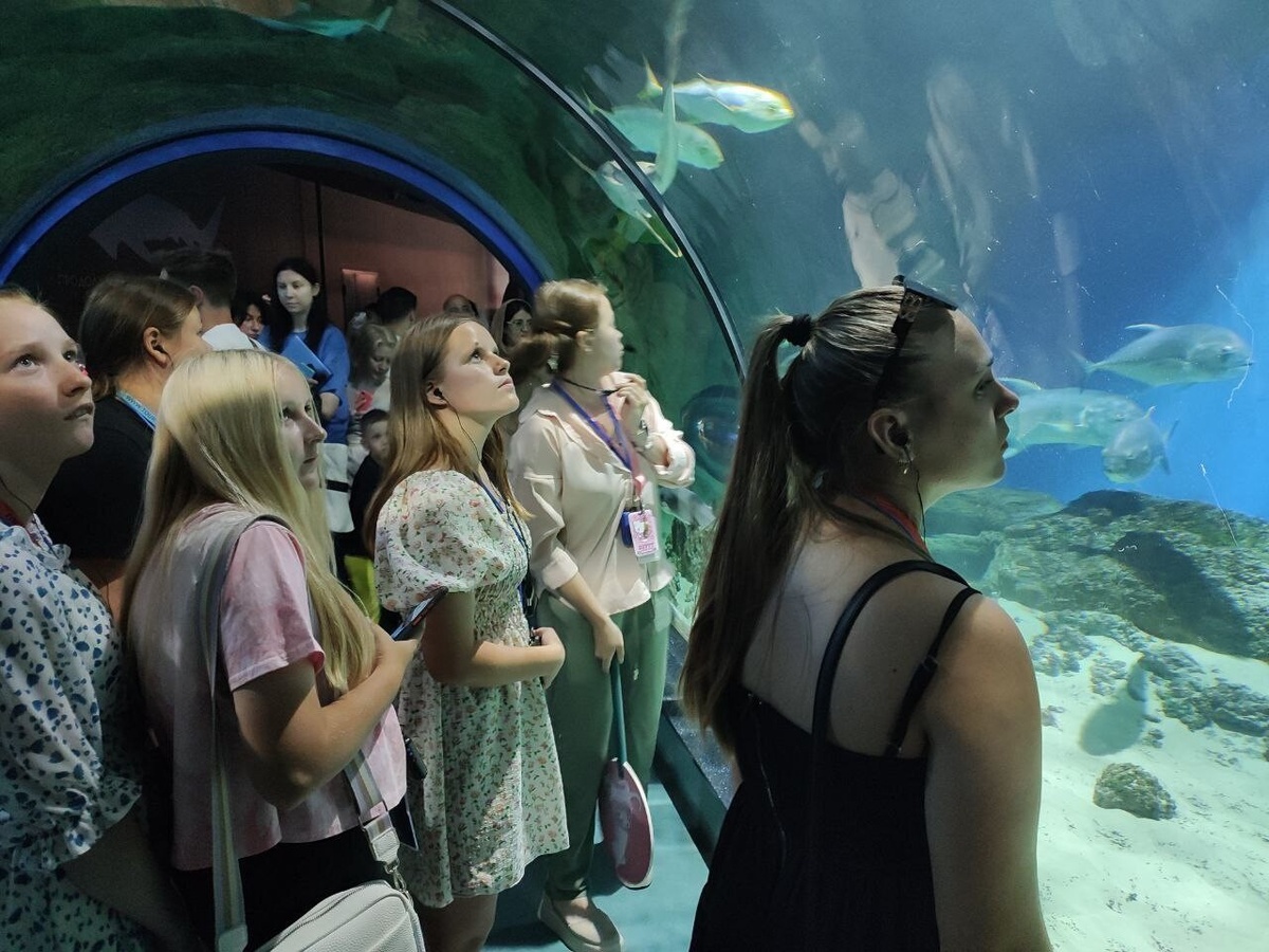    Фото: Минкультуры Запорожской области