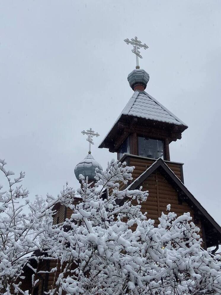   Елена Полякова