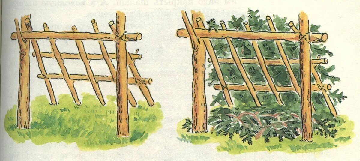 односкатка