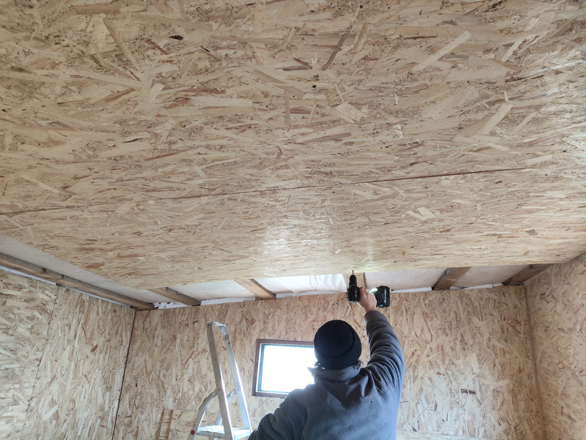 Очередной готов