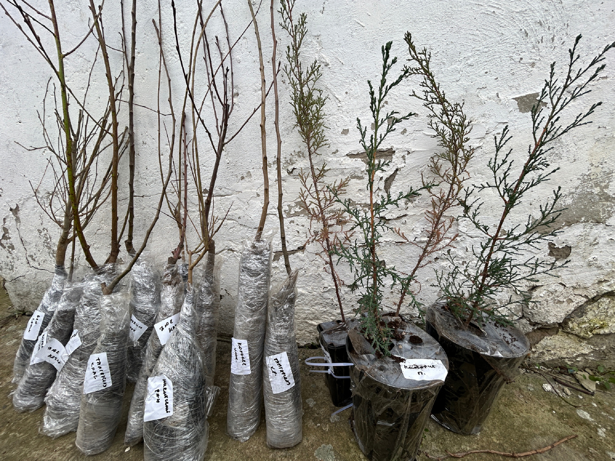 Малюськи, конечно, но какие уж есть 🤷‍♀️