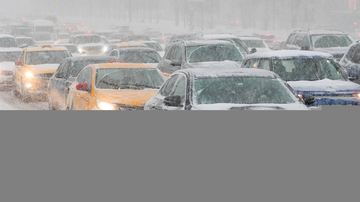    Фото: Василий Кузьмиченок / АГН Москва