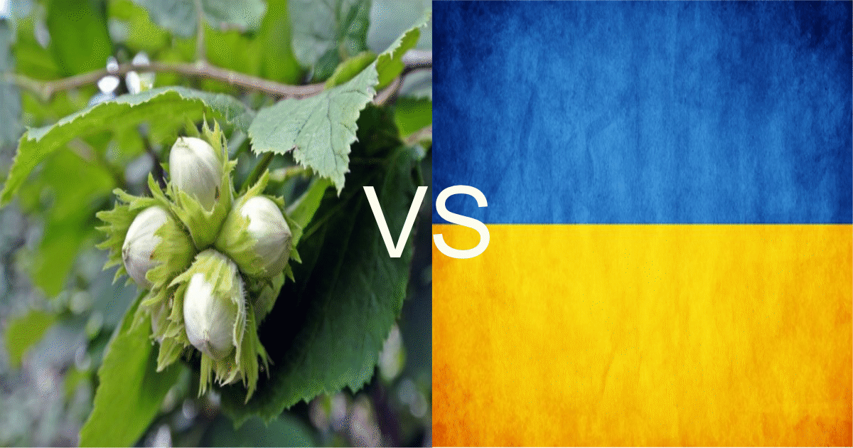 Орешник бьёт по братскому народу