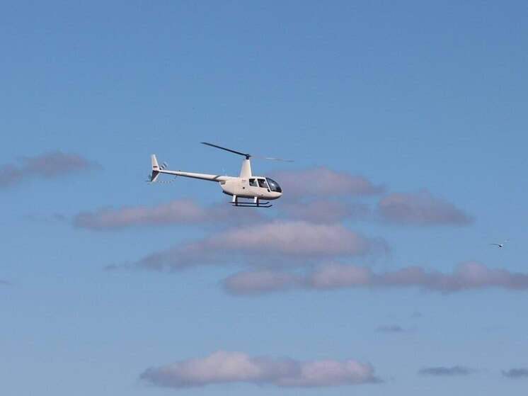     Фото: архив МК в Калининграде.