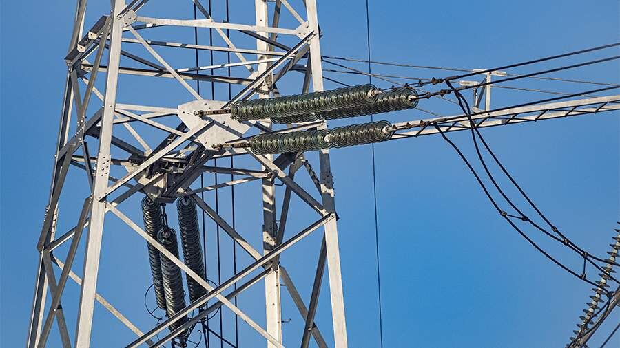    Фото: ИЗВЕСТИЯ/Константин Кокошкин