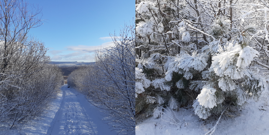 Фотки Евгения. Давно высылал. 