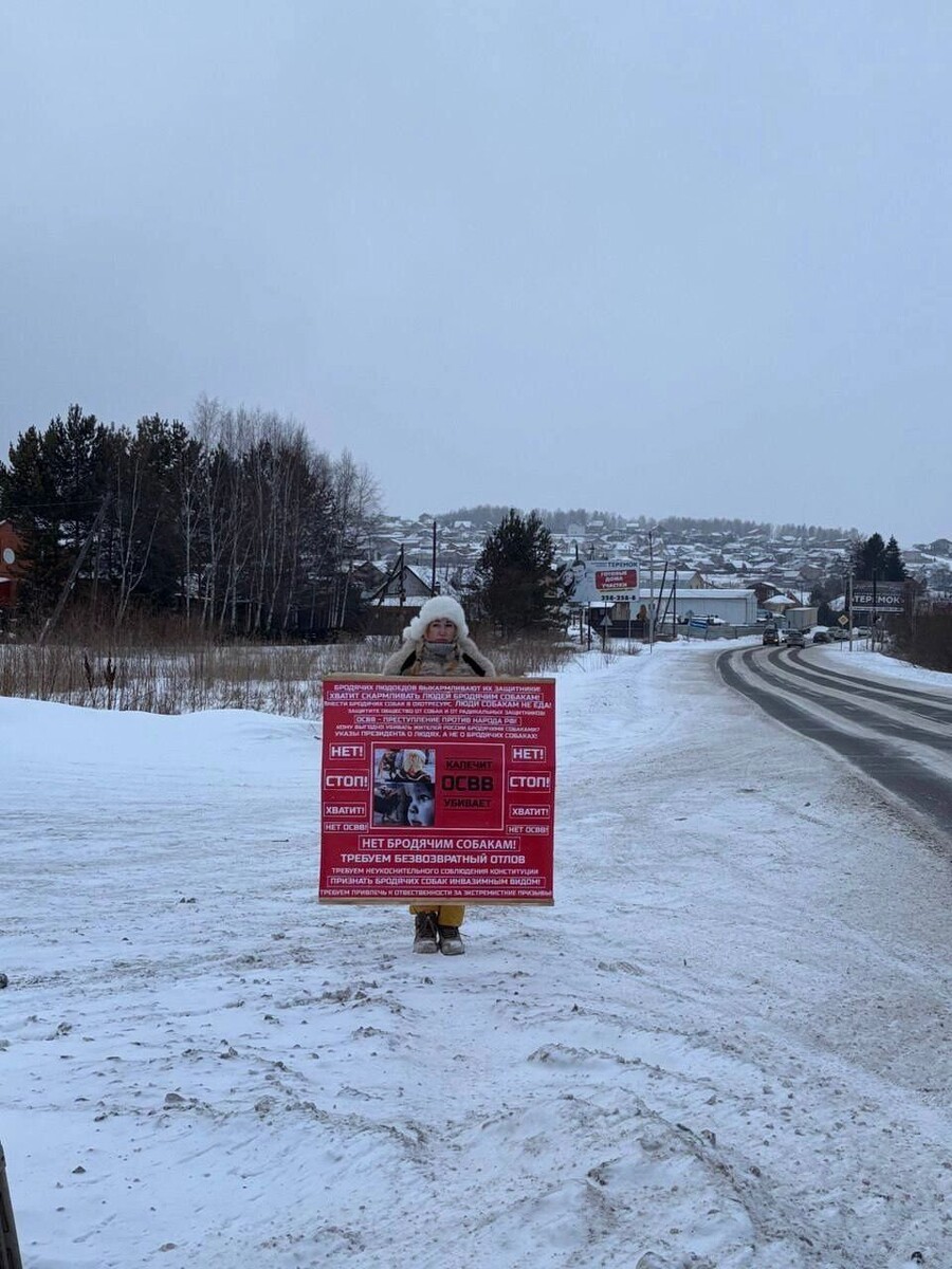    одиночные пикеты за отлов собак   t.me/yyeralash