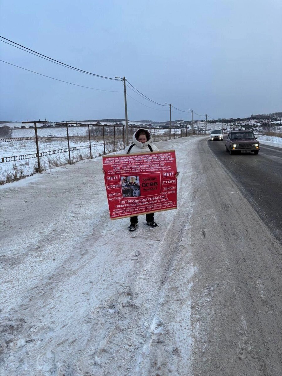    одиночные пикеты за отлов собак   t.me/yyeralash