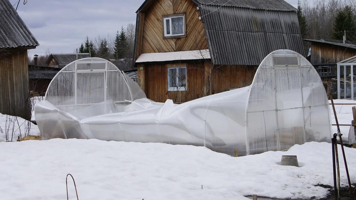 teplitsa.agrokrama.by