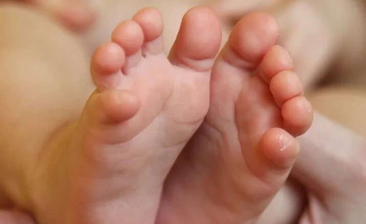    Фото: Югополис