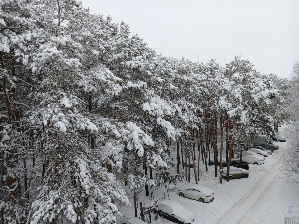    Несмотря на снежный хаос, нижегородцы находят в непогоде свои плюсы Юлия ВАСИЛИШИНА