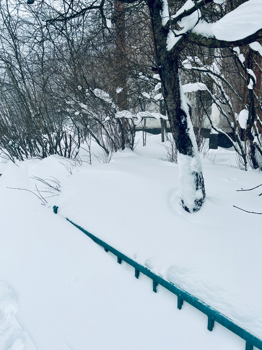 Вот так выглядит сейчас двор в «спальном» московском районе 