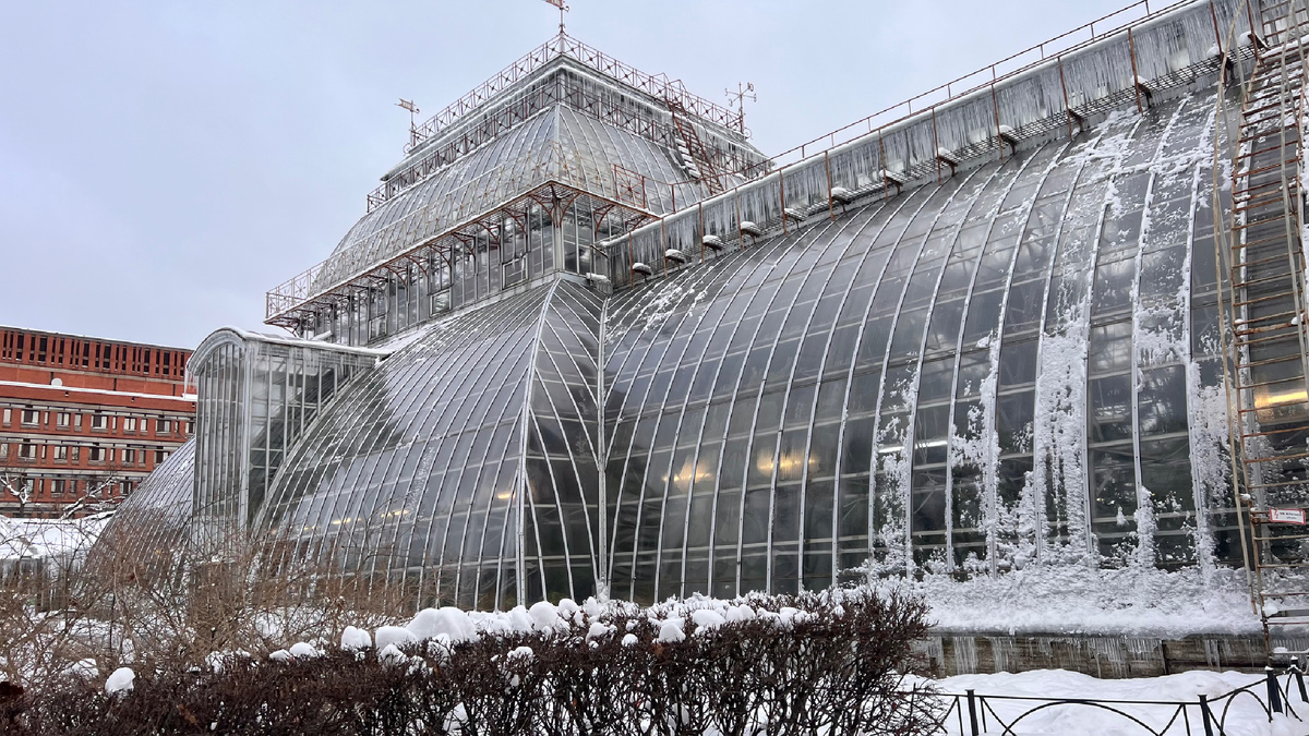 Ботанический сад Петра первого 