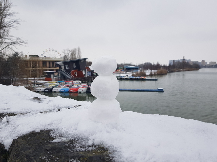     Фото: "МК на Кубани"
