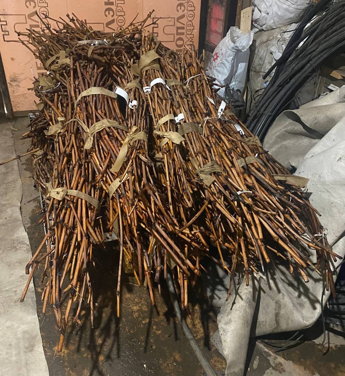 Малая часть нашего виноградного богатства