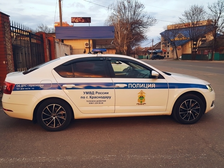     Фото: "МК на Кубани"