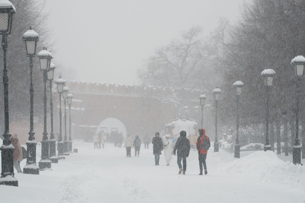     / Источник: © ИЗВЕСТИЯ/Сергей Лантюхов