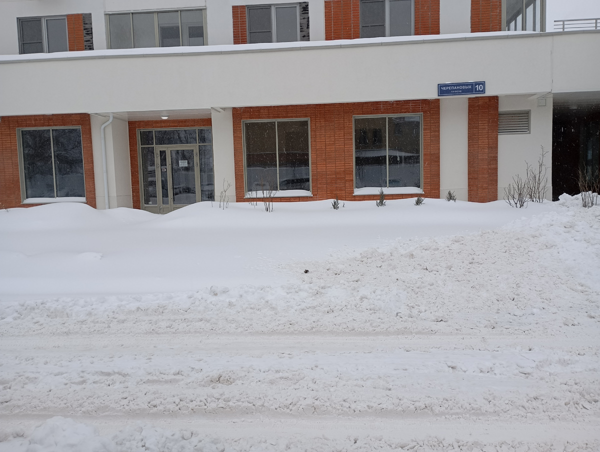 Фотография автора