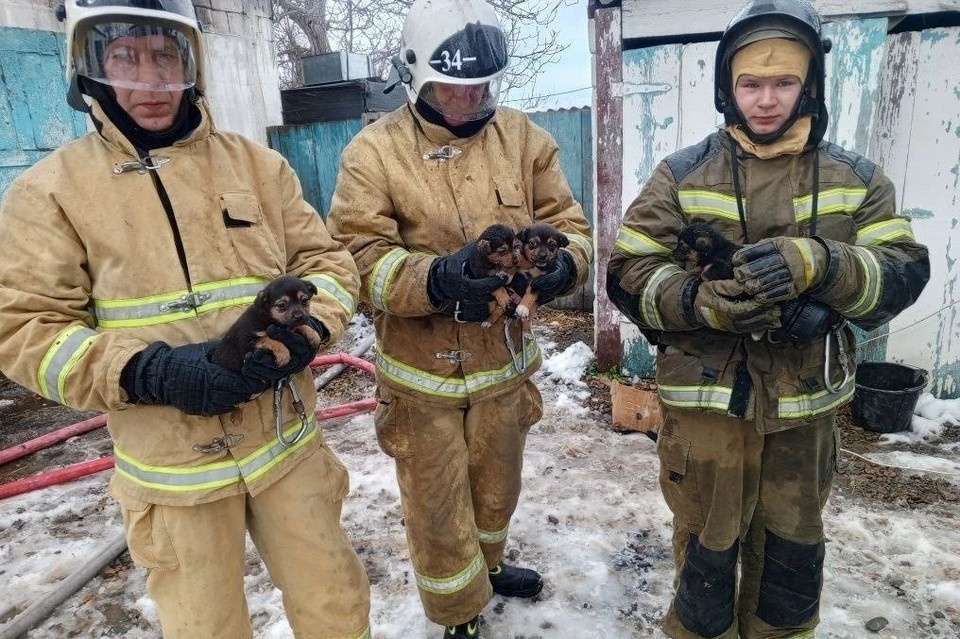    Фото: t.me/gkykkupb