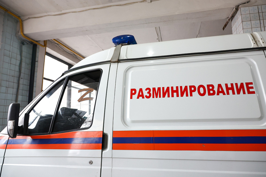    Наталья Шатохина/NEWS.ru