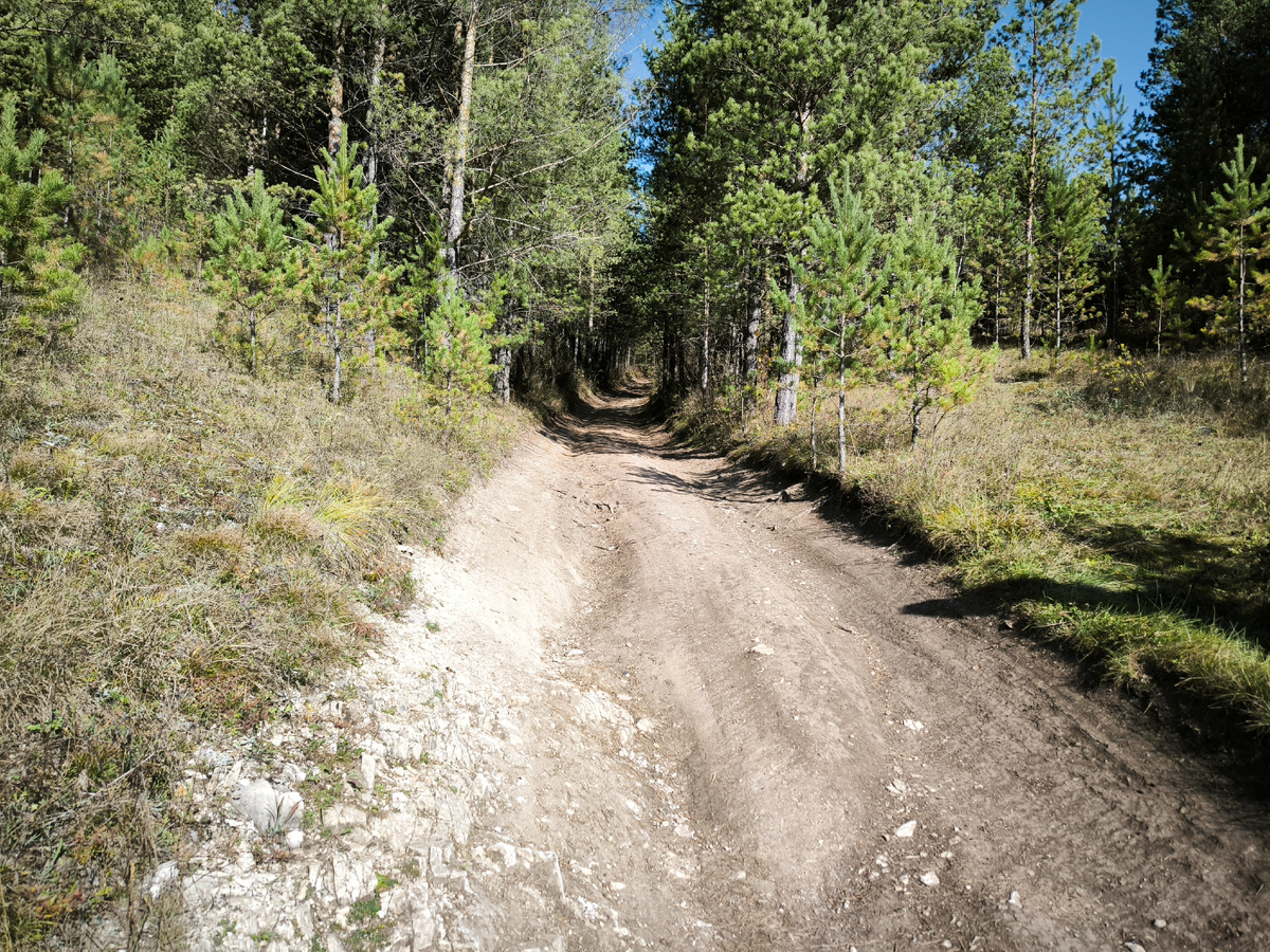 Дорога к пещере идёт в гору среди леса