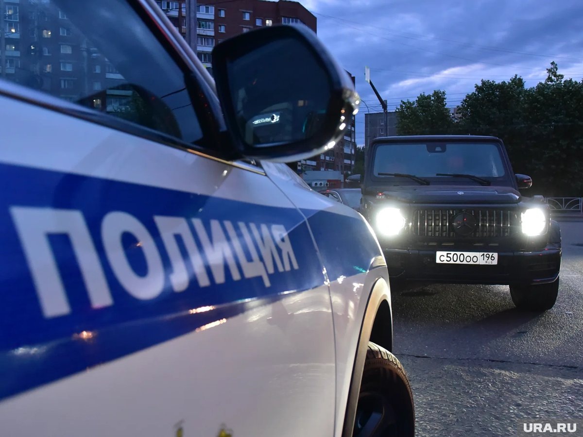     Силовики разгромили группу обвиняемых еще в 2024 году