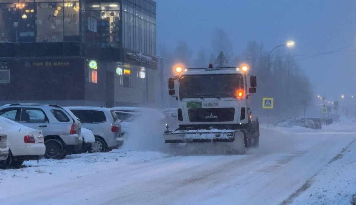    Фото: администрация г.о. Дубна