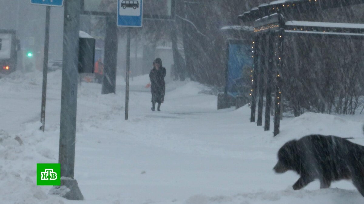    Сугробы в Москве могут достичь рекордной высоты