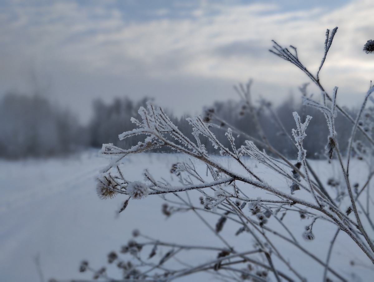 Новогодние праздники оказывается уже почти всё...