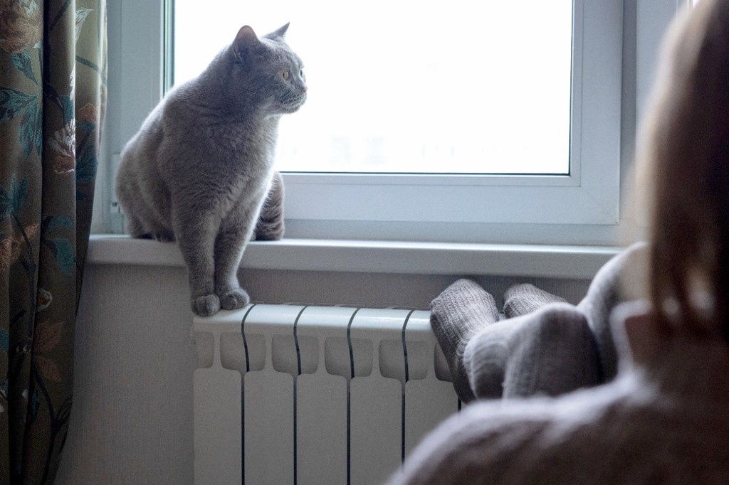    Фото © Владимир Андреев / Абзац