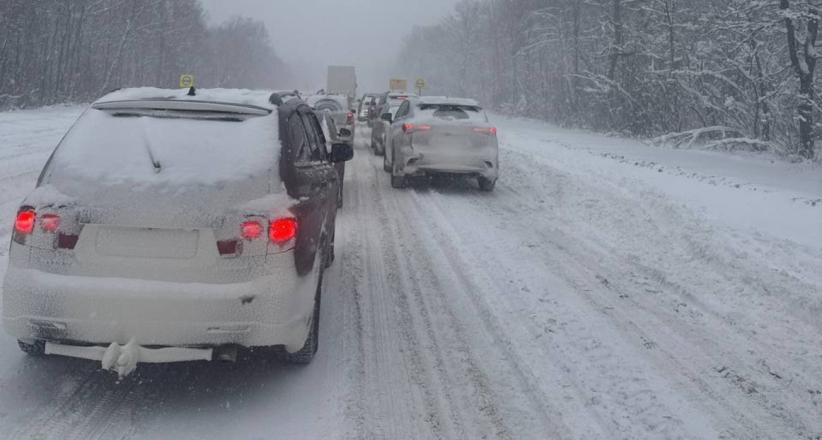    фото телеграм-канал Жесть Ярославль