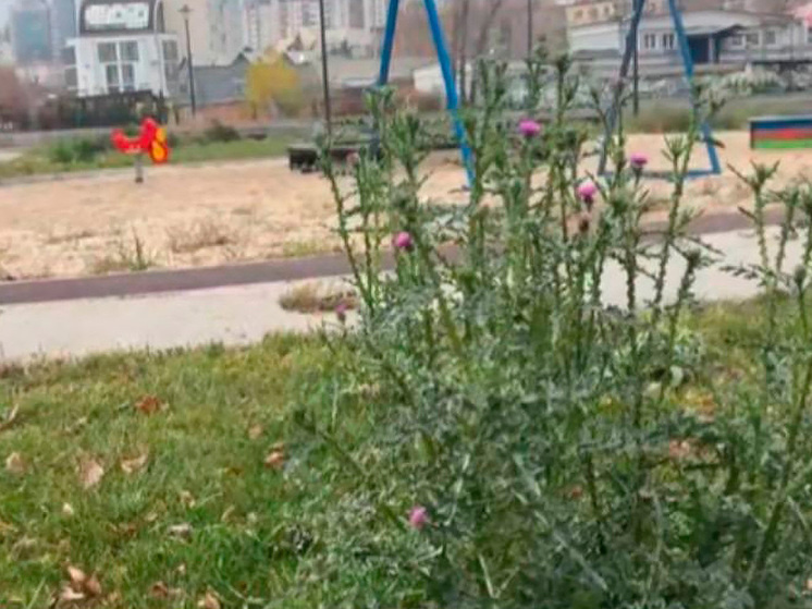     фото: Народный фронт по Липецкой области