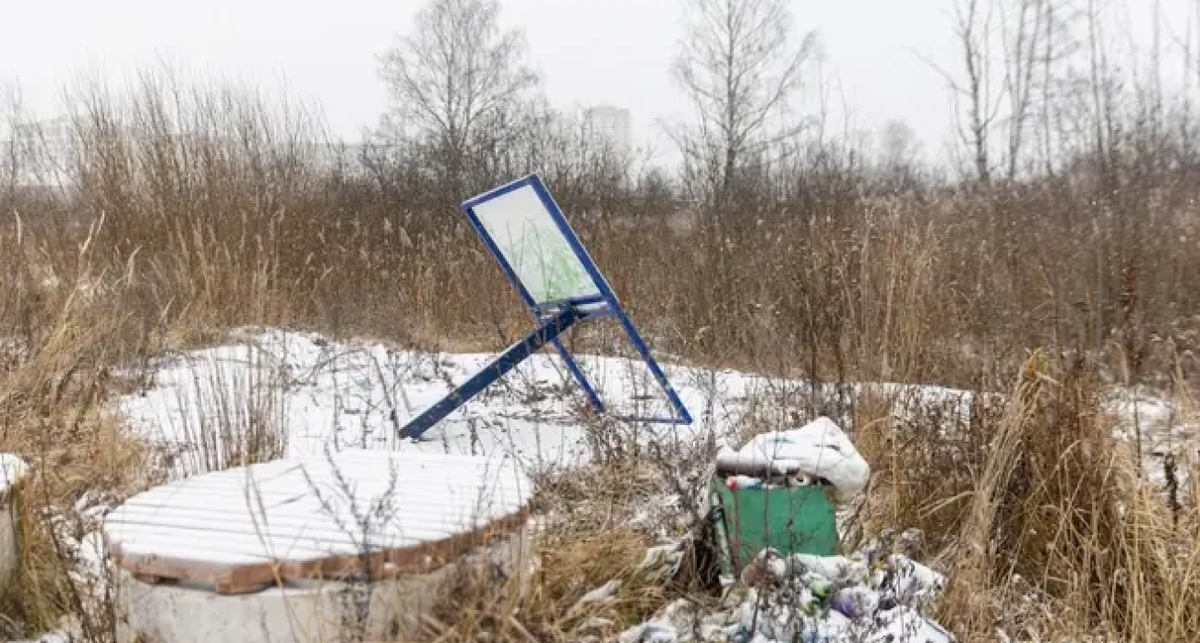    Артем Бауман / 76.RU с сайта n1s1.hsmedia.ru