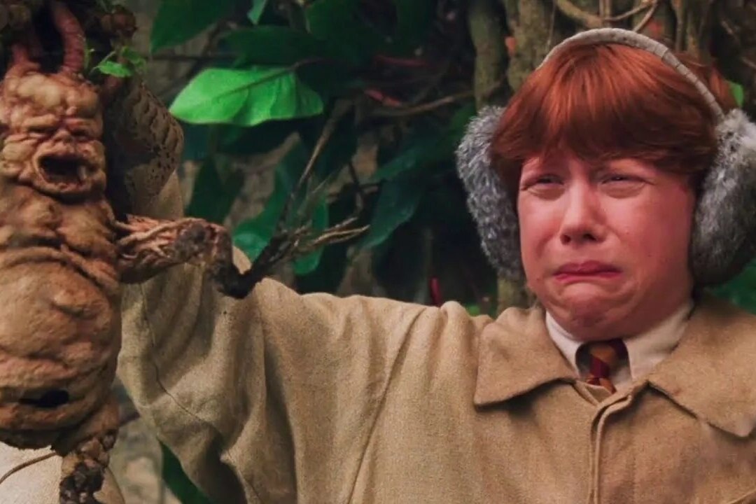     5 волшебных растений из вселенной "Гарри Поттера"