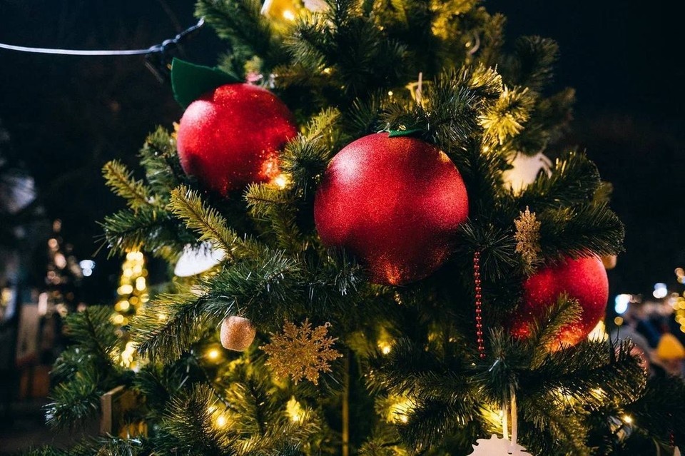    У всех желающих есть возможность посмотреть уникальные елки всех округов региона и проголосовать за понравившуюся. Пресс-служба правительства Липецкой области