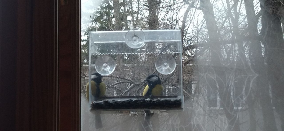 Из личного архива