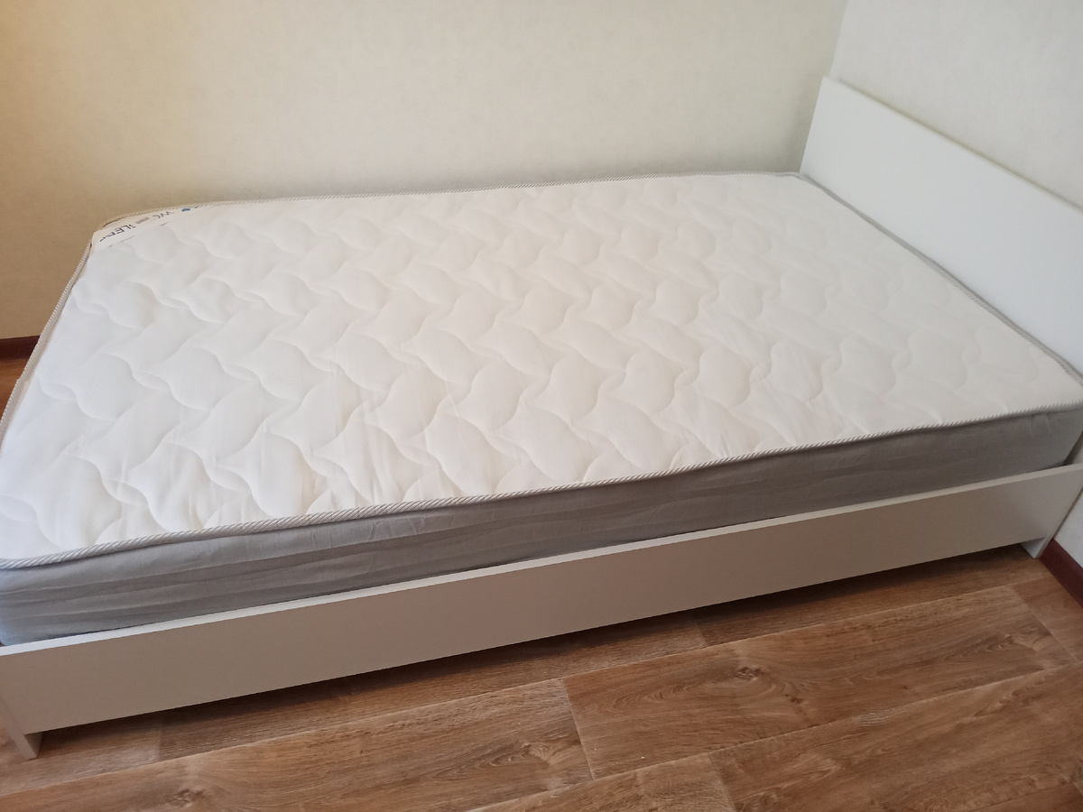 462810762 Все фото автора.