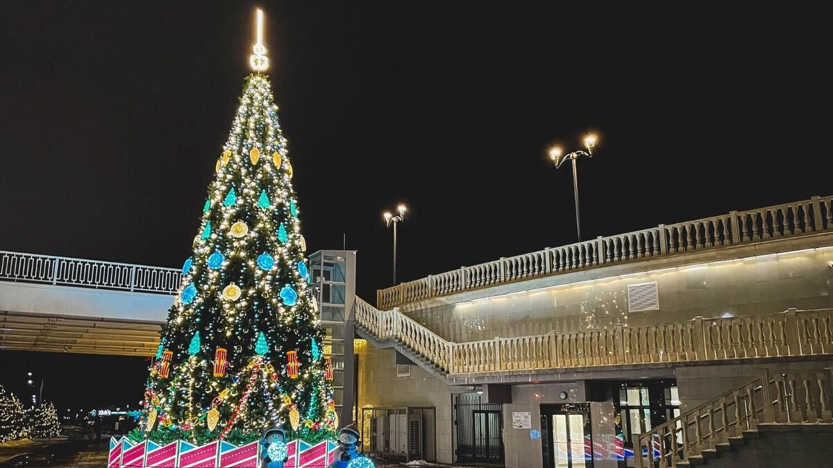    Ёлка около амфитеатра в Волгограде   Антон Засимов / novostivolgograda.ru