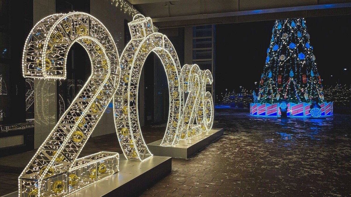    Ёлка около амфитеатра в Волгограде   Антон Засимов / novostivolgograda.ru