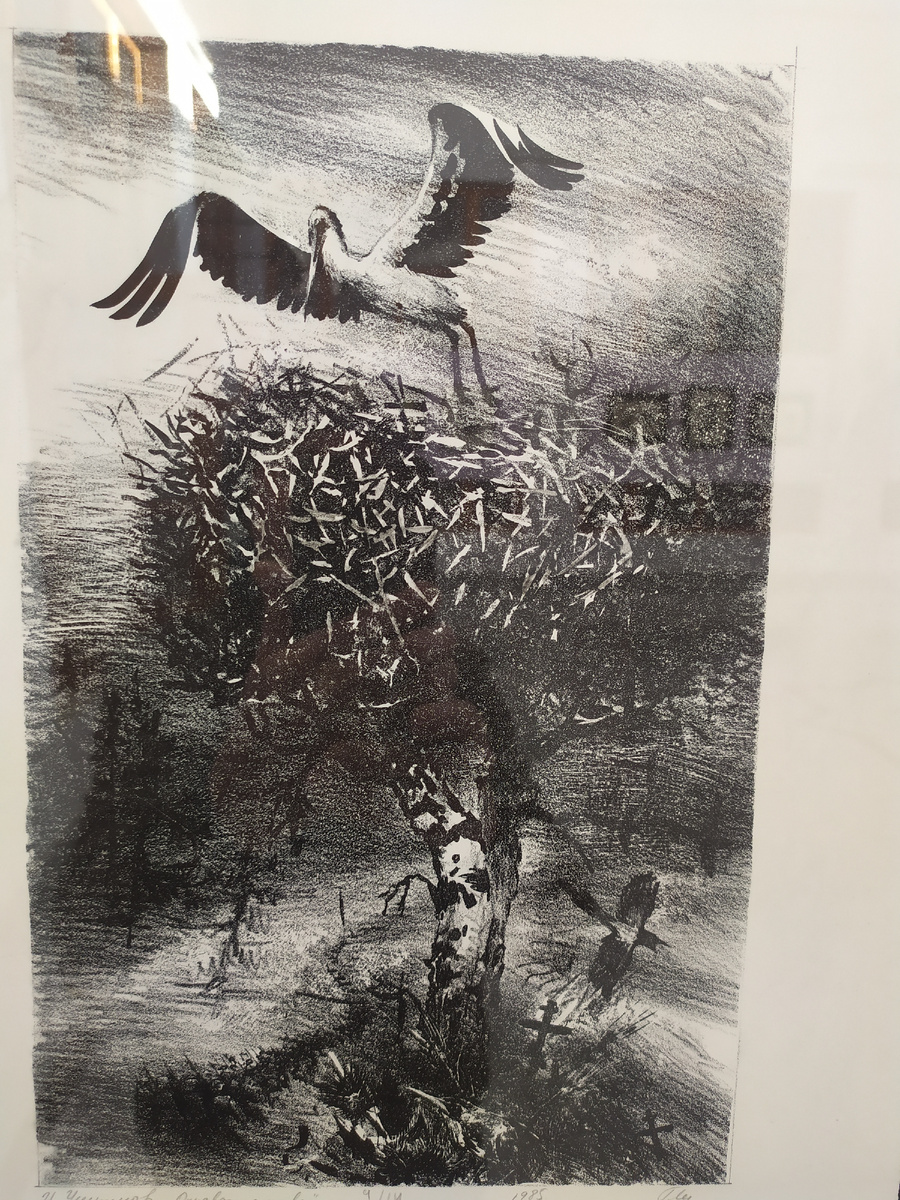 Фото автора.