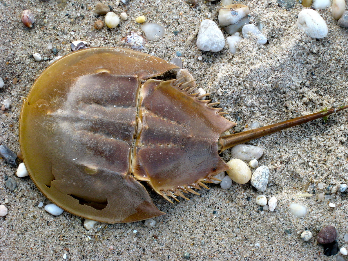 Фотография из интернета