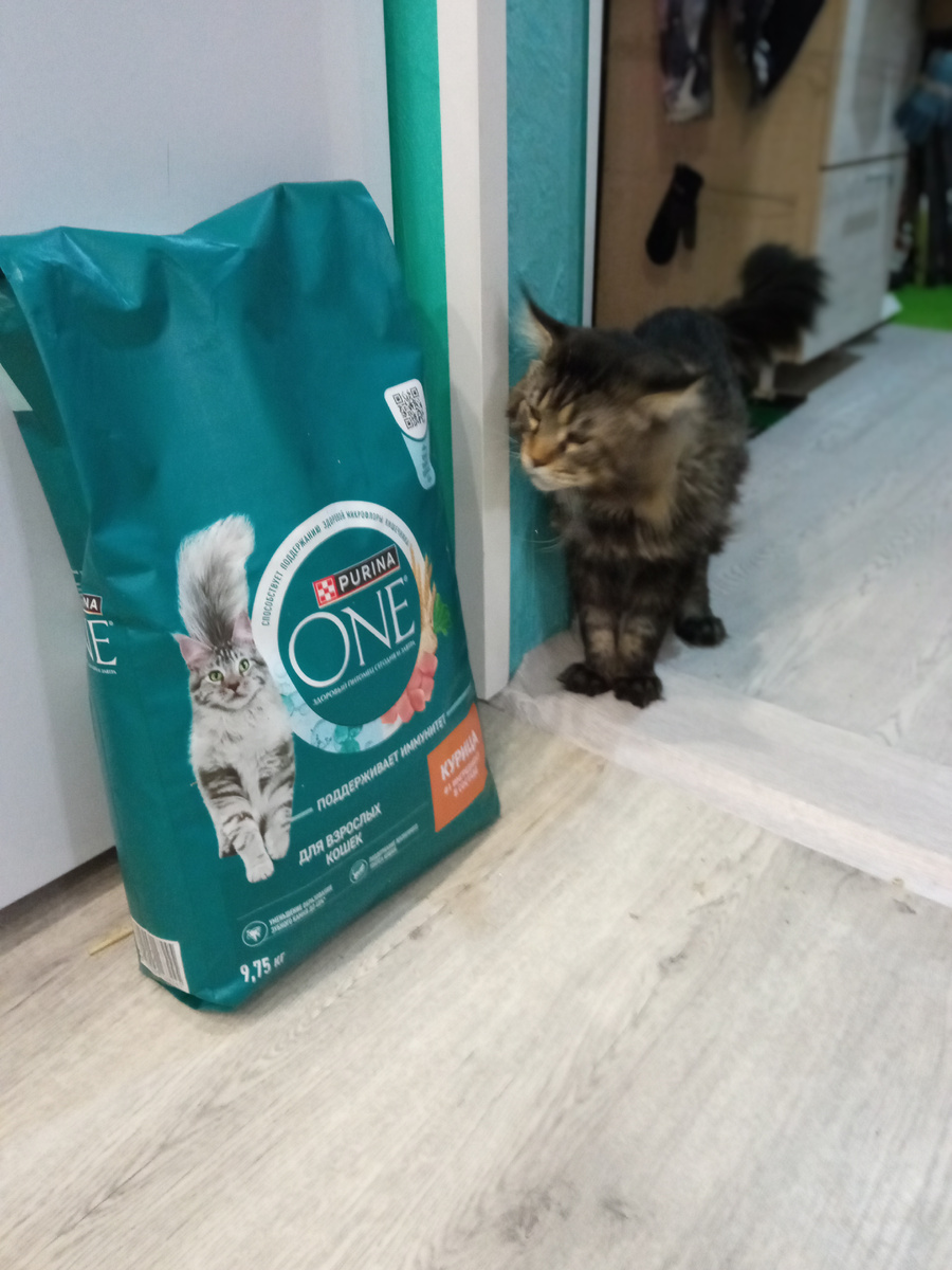 Личное фото