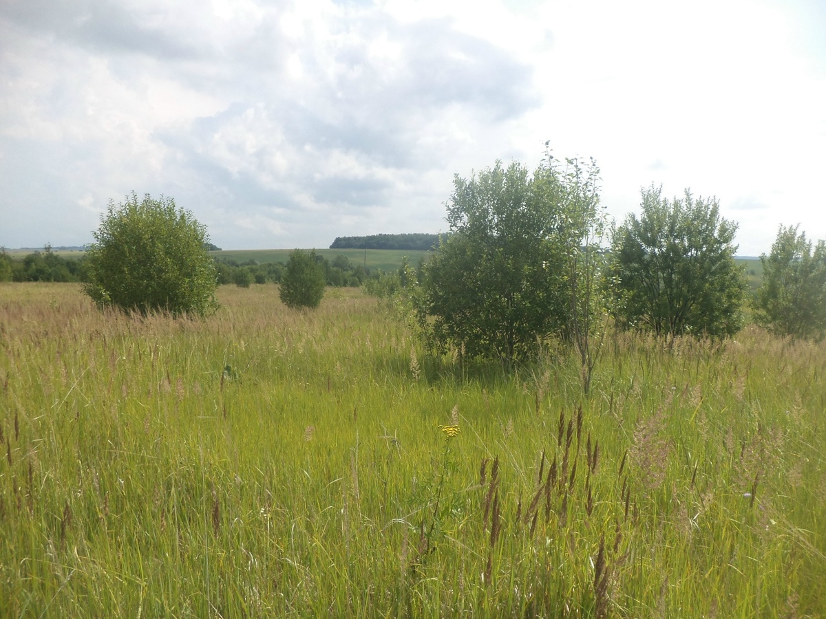 На этом месте был постоялый двор. Люди жили еще в конце 90-х.