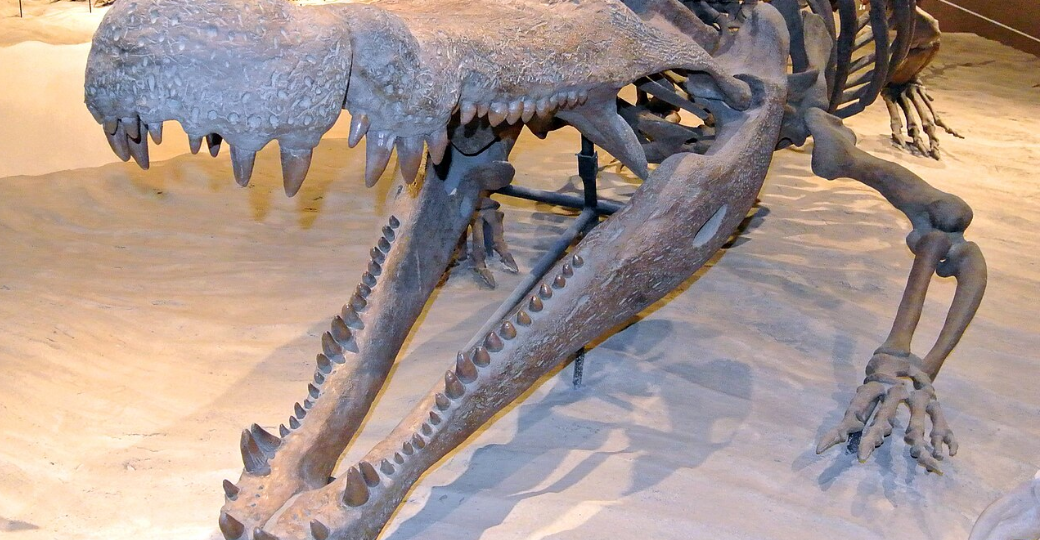 Все виды ВЫМЕРЩИХ АЛЛИГАТОРОВ . 1-часть.