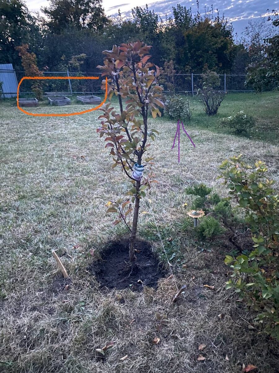 Сентябрь 2024